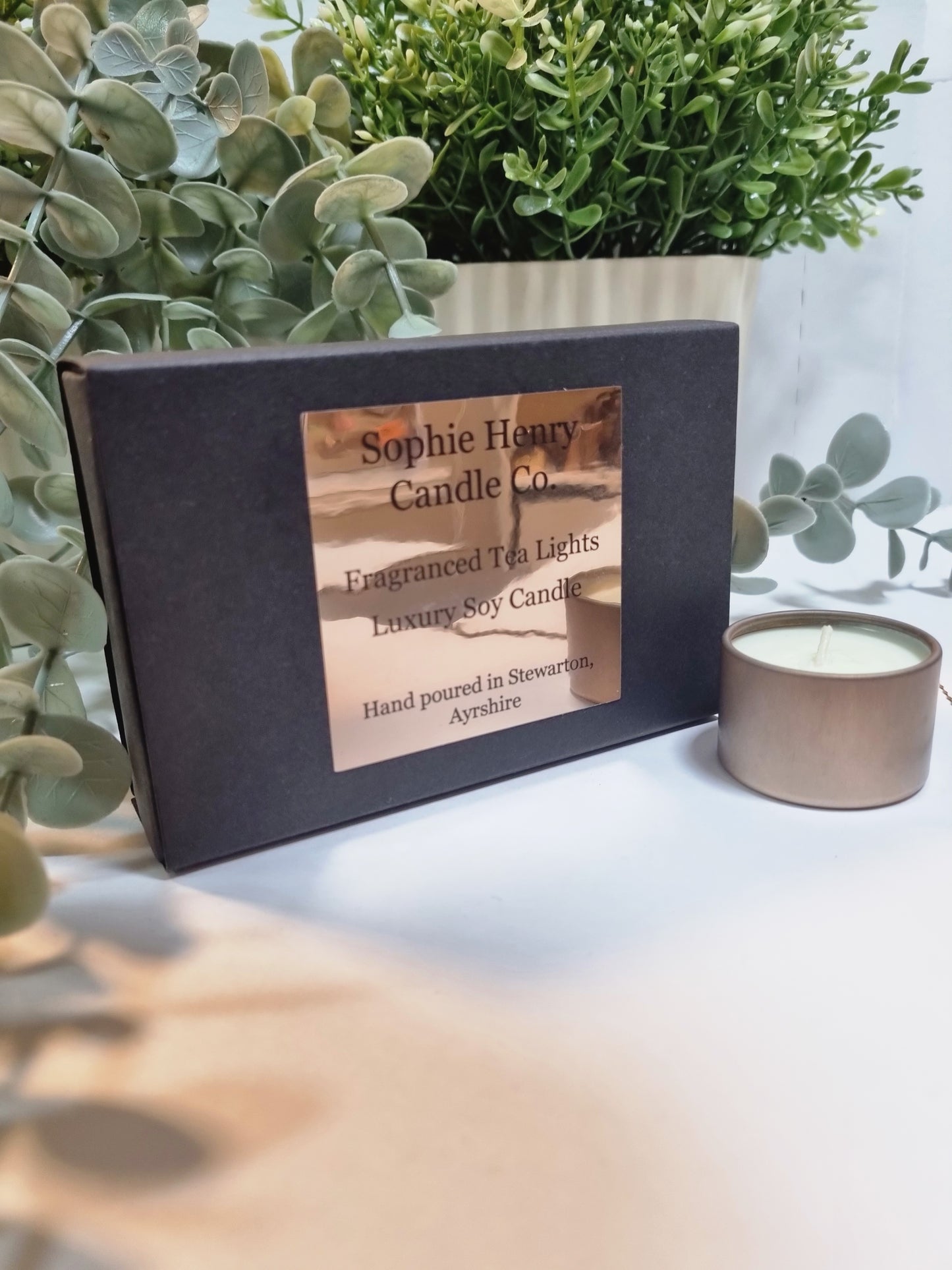 Thyme, Olive & Bergamot